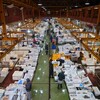 ロンドンの築地市場、ビリングズゲート魚市場(Billingsgate Market)に行ってきた＼(⌒ ͜ ⌒)／