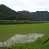 カブトエビ確認（2） 岡山県倉敷市