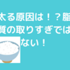 太る原因はいったい何だろう？がわかる！