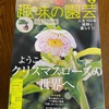 趣味の園芸2月号「一鉢で自然とつながるミニ盆栽」