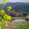 滋賀・余呉町