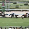 【2歳新馬2025】ヒメヒオウギ2着でコントレイル産駒また負ける