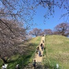 さきたま古墳公園(再訪 その1)  行田市埼玉