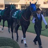 フェアリーステークス ポレンティア3着！！バーピージャンプで鍛えた小生、謎な叫び声を中山競馬場に響かせる！