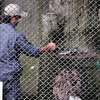 平川動物園に行って来ました vol3