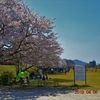 桜を写しに&#127800;平川河川公園編