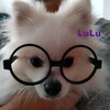 LuLu丸い眼鏡