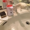 とにかく減らした手間が戻ってくる憂鬱｜ノータッチ泡ハンドソープ（入手困難）