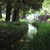 新宿御苑　Shinjukugyoen