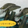 前編　郡上アマゴとの苦闘 （秋分3連休）