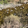 小駄良川沿いを散歩に