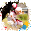袖ケ浦公園 梅が咲きました(その2)