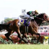 11/10(日)の京都競馬場のレース予想