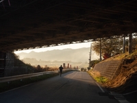 SNAP DIARY【Nov.15】