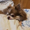 真夜中のボトルメール