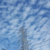 久しぶりの青空