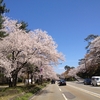 4月の金沢はこんな感じ