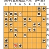 5.6(土)　将棋　叡王戦の第3局とか