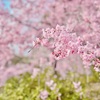 豊かさにつながる自分らしい仕事を見つけるには