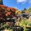 八十八庵 綺麗な紅葉が堪能出来ました〜