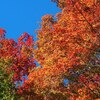 2017年11月1日(水)　［滋賀・永源寺］笠松山、忘れられつつある遊歩道を行く