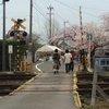 “駅から最も近い”桜まつり会場　〜十四川さくら祭り