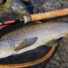 どんどんとタックルがゴツくなるわりには、釣れる魚のサイズは…