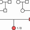 クロワッサン〜放射線によって傷ついた遺伝子は子孫に伝えられるのか