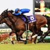 競馬初心者必見☆馬券予想🔥〜スプリンターズステークス〜購入馬券大公開㊙︎