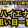 12月パチスロ新台の年末年始ハイエナまとめ　