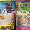 我が家のハムたち🐹🐹🐹⑦