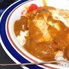 カレーと私　３