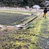 雨上がりの散歩と春みっけ♪ 当たり前がありがたい