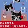 ノラ猫あがりのスターたち