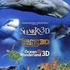 DOLPHINS AND WHALES 3D