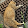 夏はここが一番