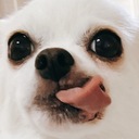 てらうちたかしの日記