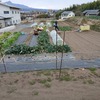 実家の畑で農作業