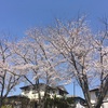 3月21日(日)午前・雨の朝