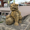【沖縄観光】那覇市街、街歩き＆シーサー像