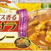 初秋の推しカレー