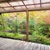 【京都】亀岡、『鍬山神社』に行ってきました。 京都紅葉 女子旅 