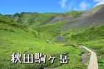 「秋田駒ヶ岳」八合目からムーミン谷まで（周回）