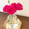 玄関を華やかに。リセノのブラストレーとアクタスのルームフレグランス