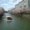 『泉』100年を祝う、え---