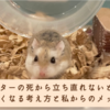 ハムスターの死から立ち直れない飼い主さんへ｜心が軽くなる行動と考え方を紹介