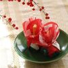 菓匠　清閑院　椿の花