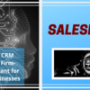 Salesforce CRM Consulting Firm- Most Important for Growing Businesses