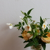 花のある暮らしを楽しむ<秋編>