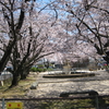 友人達と佐賀市大和町にある築山児童公園に平成最後の花見に行ってきました。
